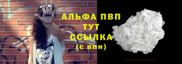 мяу мяу мука Абаза