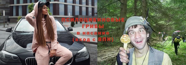 прущие крисы Мегион