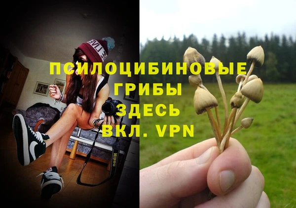 мяу мяу мука Абаза