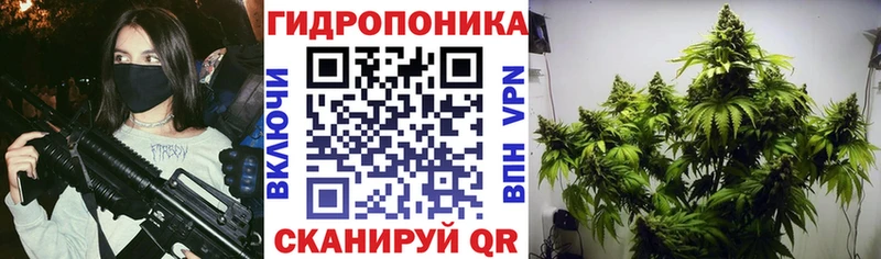 нарко площадка клад Электросталь Бошки марихуана VHQ